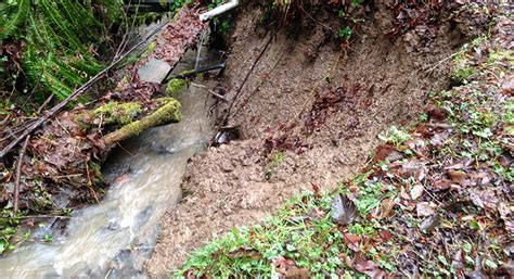 are oregon nurseries required to have a water quality plan